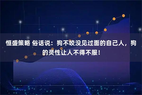 恒盛策略 俗话说：狗不咬没见过面的自己人，狗的灵性让人不得不服！