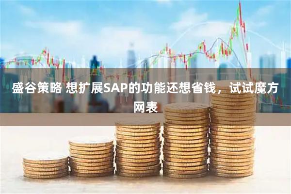 盛谷策略 想扩展SAP的功能还想省钱，试试魔方网表