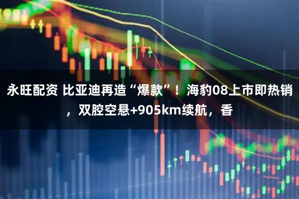永旺配资 比亚迪再造“爆款”！海豹08上市即热销，双腔空悬+905km续航，香