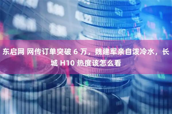东启网 网传订单突破 6 万，魏建军亲自泼冷水，长城 H10 热度该怎么看